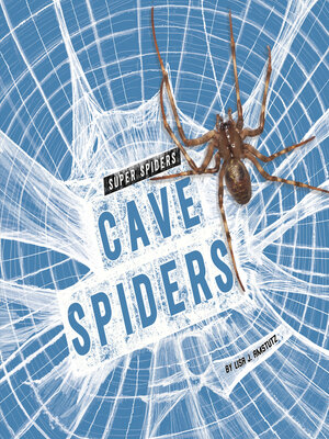 cover image of Cave Spiders